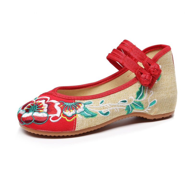 embroidered shoes